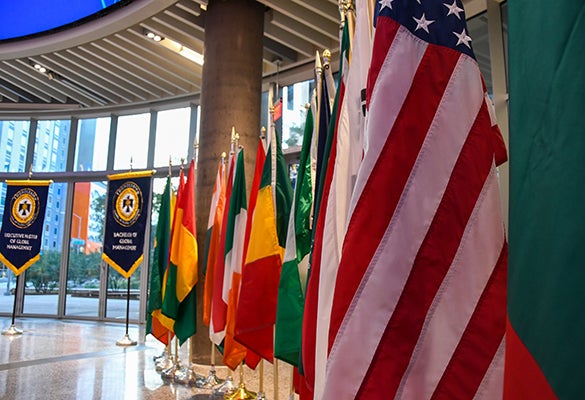 Image of flags in the global forum