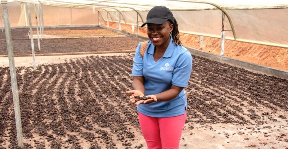 A Global Challenge Lab student stands at a cocoa drying station while on an overseas consulting lab