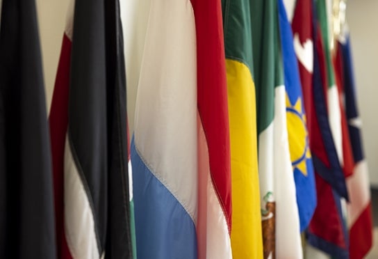 Image of a row of flags outside Thunderbird's Global Forum